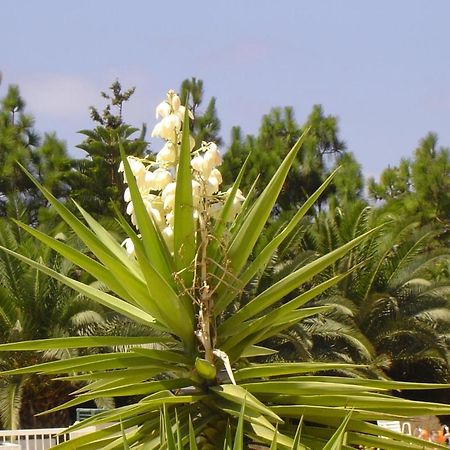 Ikaria Village Maisonette 10 Klorakas 외부 사진
