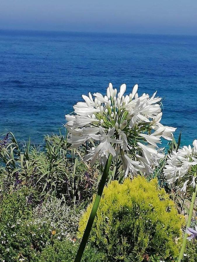 Ikaria Village Maisonette 10 Klorakas 외부 사진