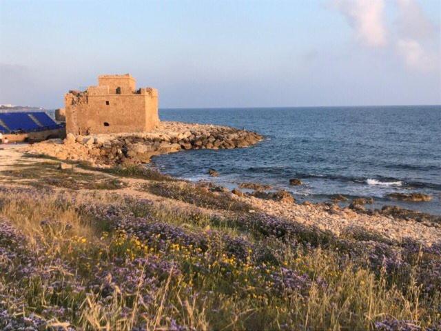 Ikaria Village Maisonette 10 Klorakas 외부 사진