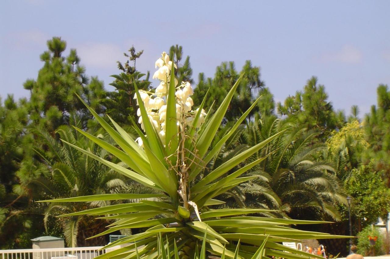 Ikaria Village Maisonette 10 Klorakas 외부 사진